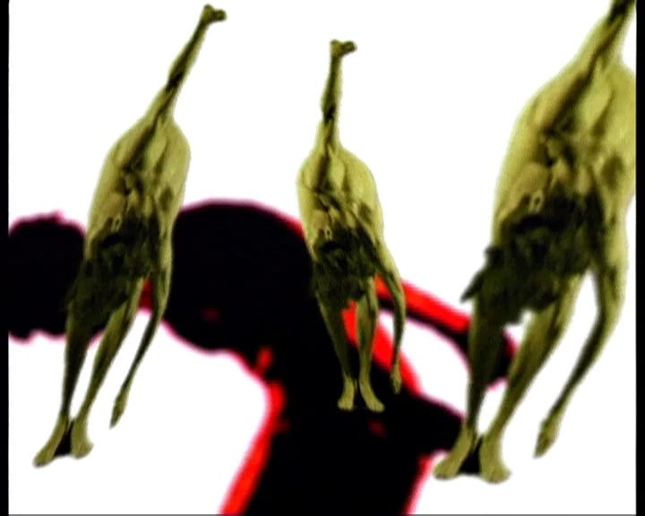 Moving Images