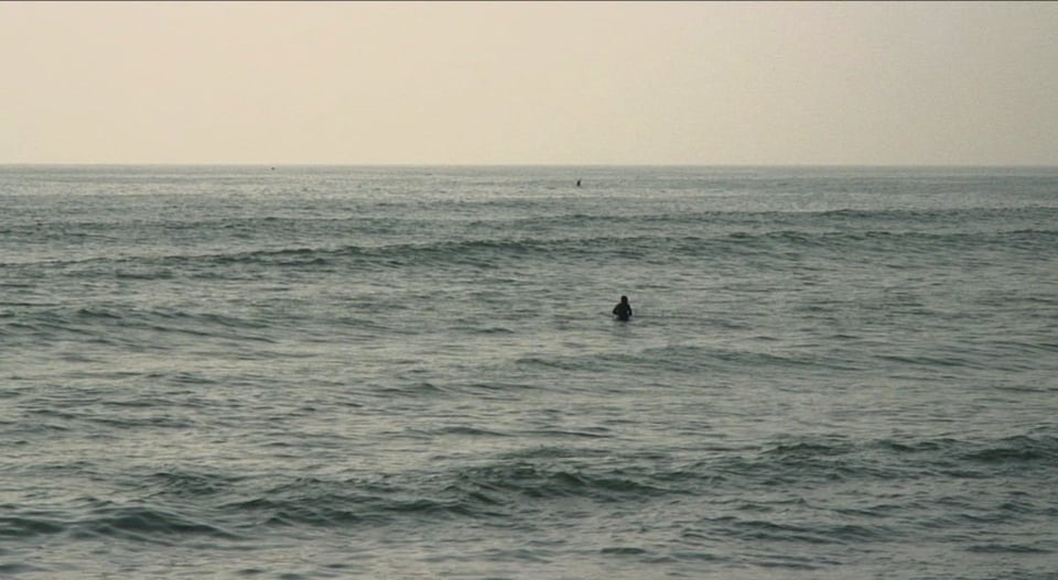 Albatross
