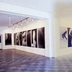 1995 Wetterling Gallery